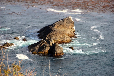 ��������� ����������